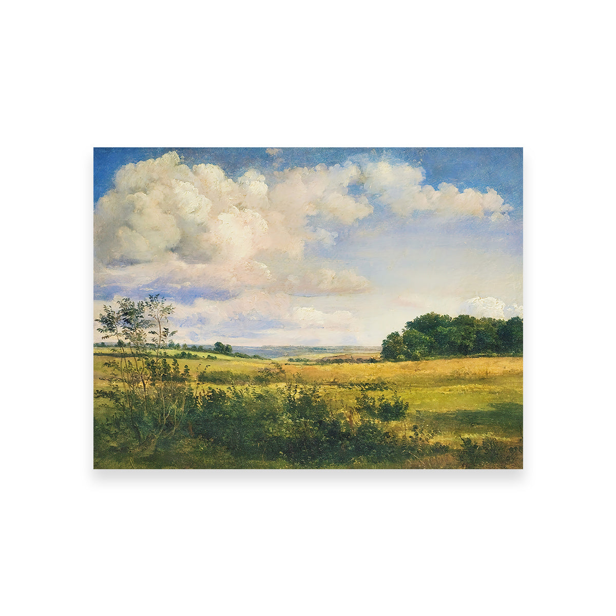 Sunlit Clouds Wall Art