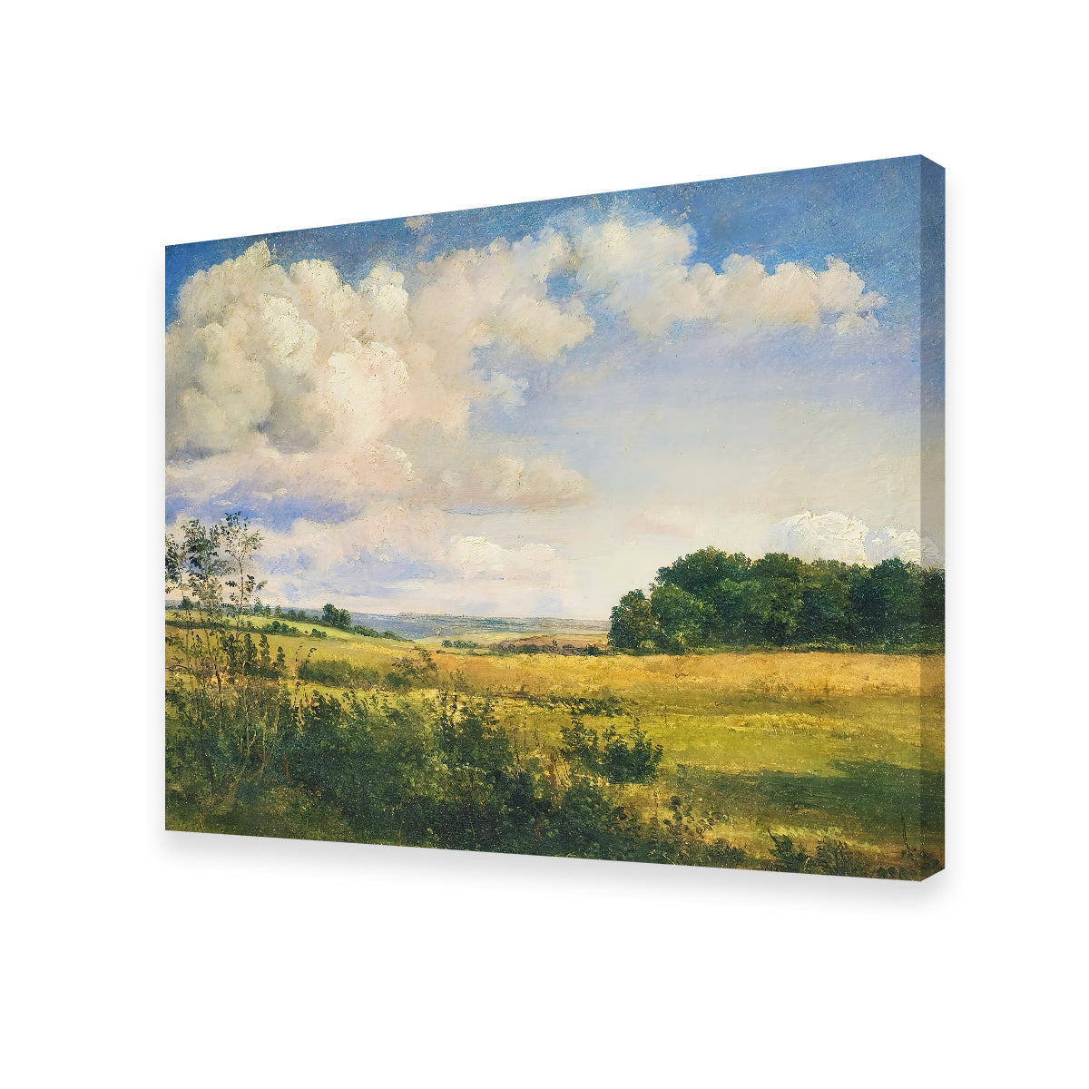 Sunlit Clouds Wall Art