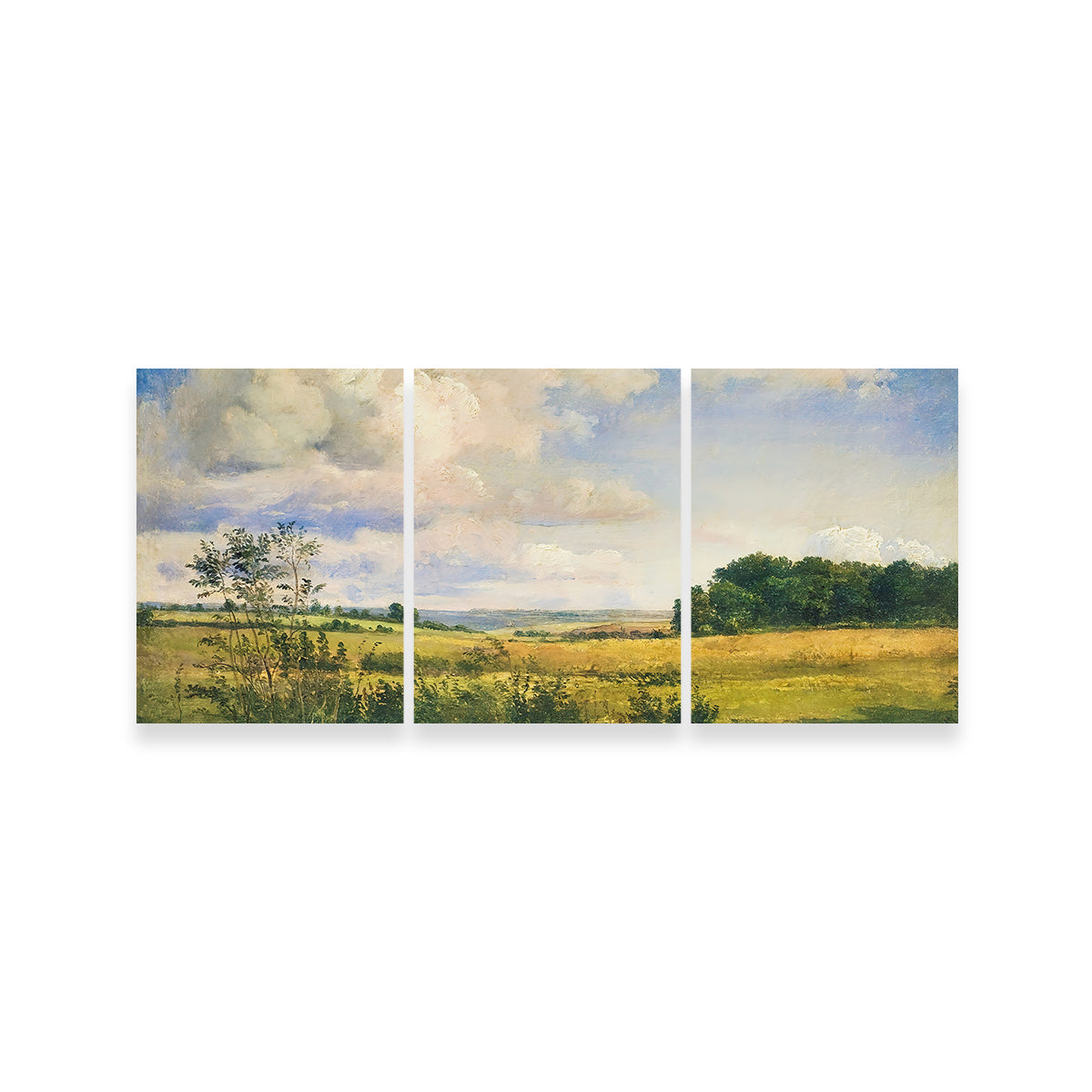 Sunlit Clouds Wall Art