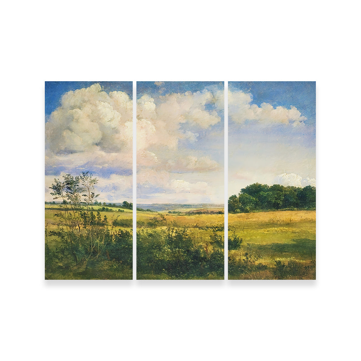 Sunlit Clouds Wall Art