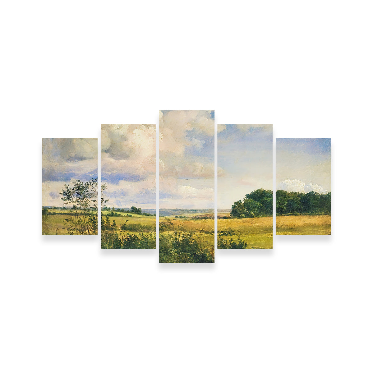 Sunlit Clouds Wall Art