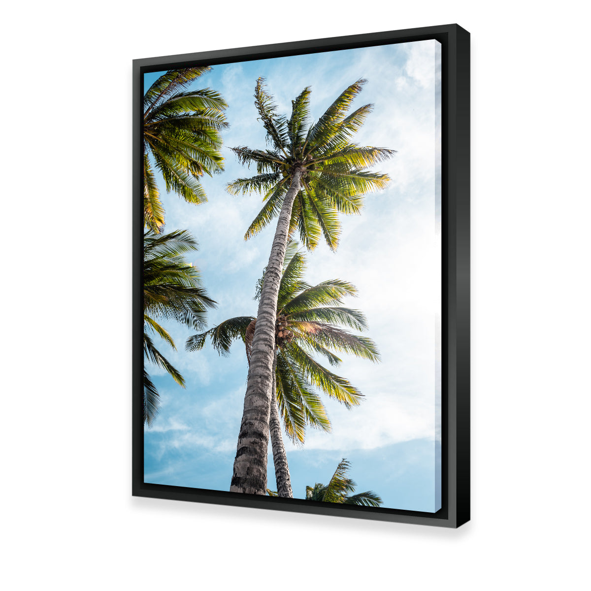 Sunny Palms Wall Art