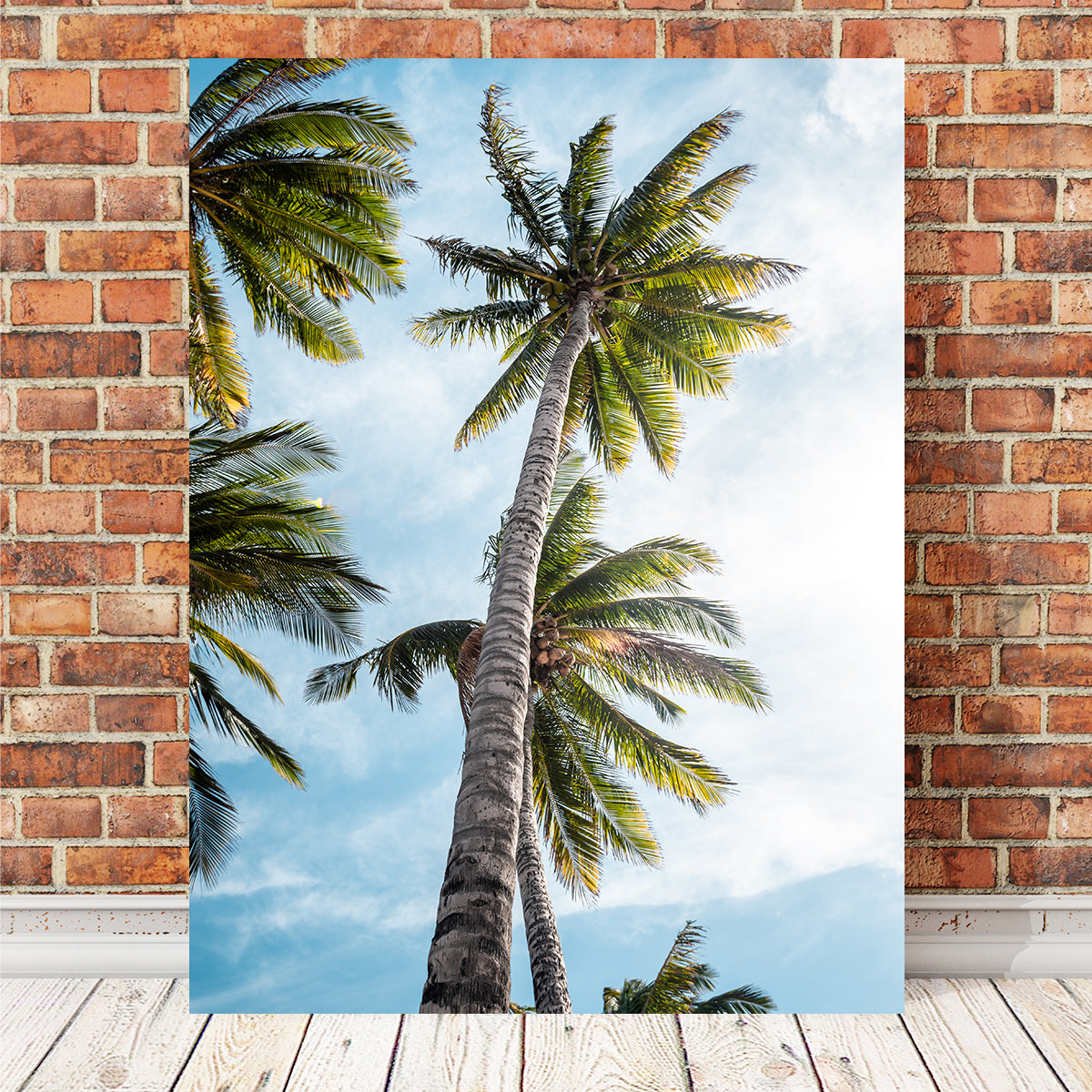 Sunny Palms Wall Art