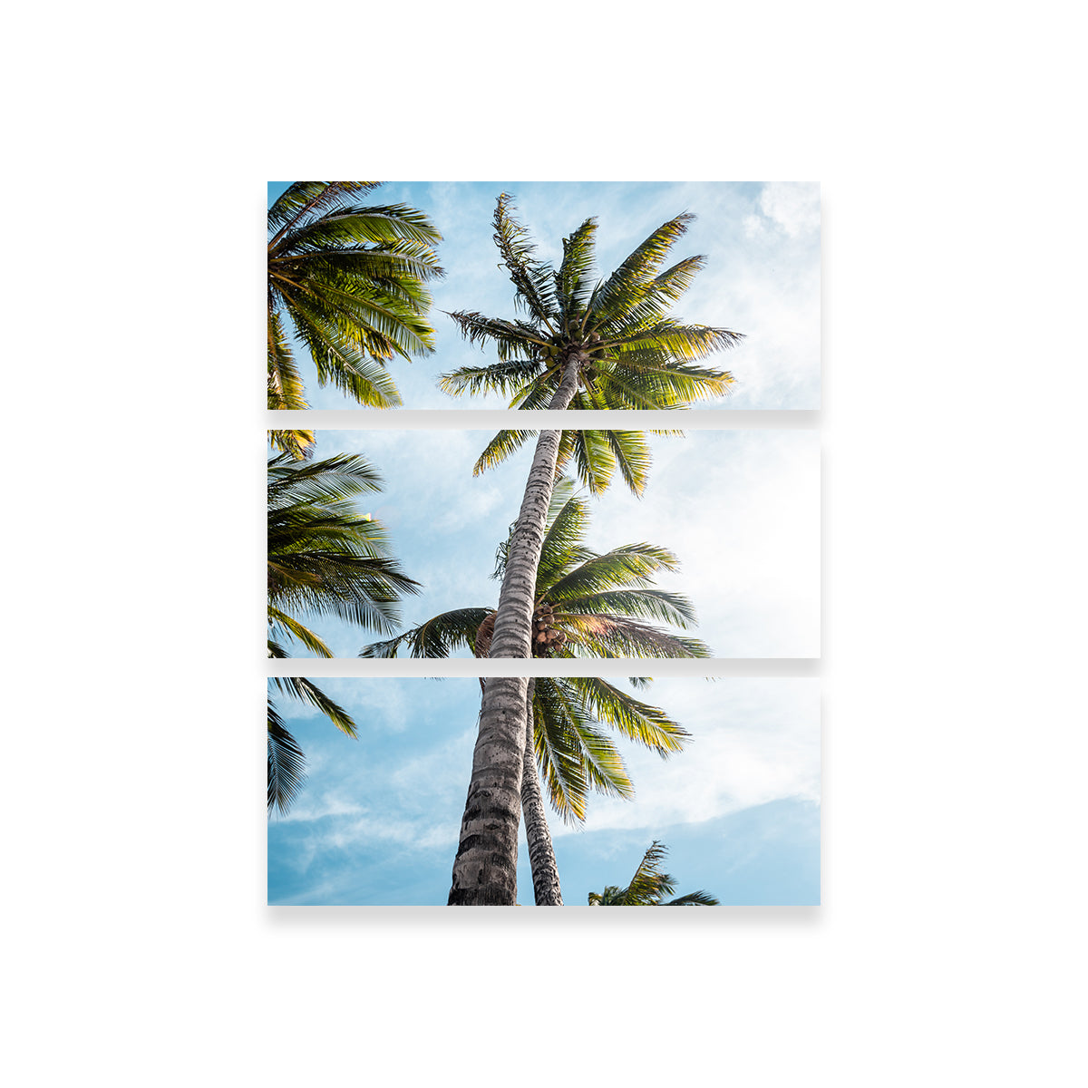 Sunny Palms Wall Art