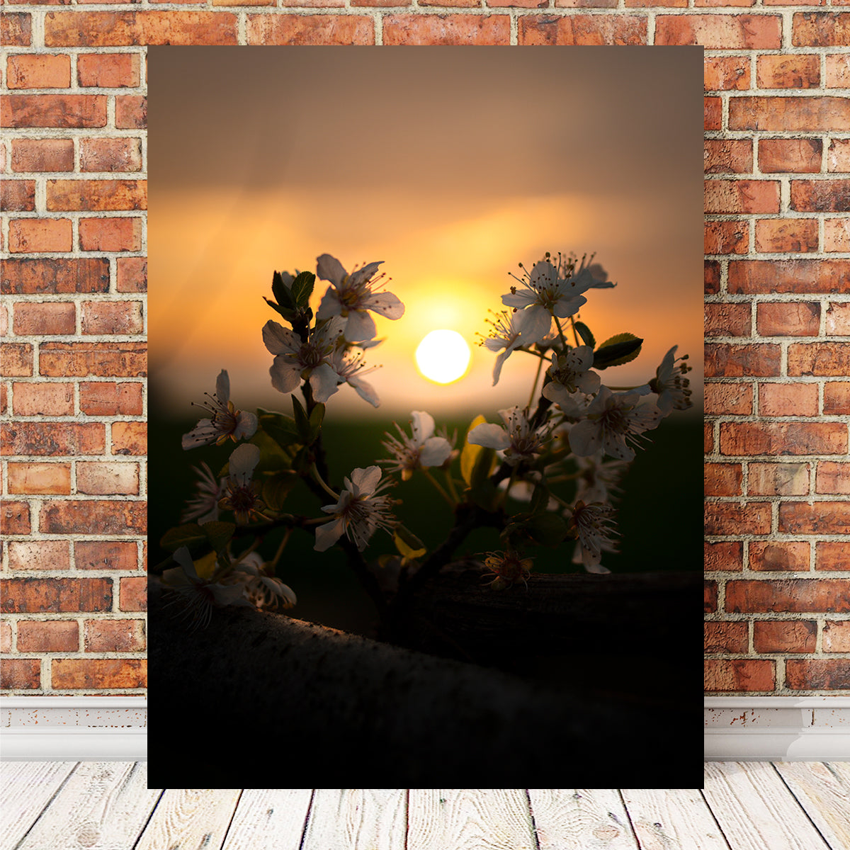Floral Sunset