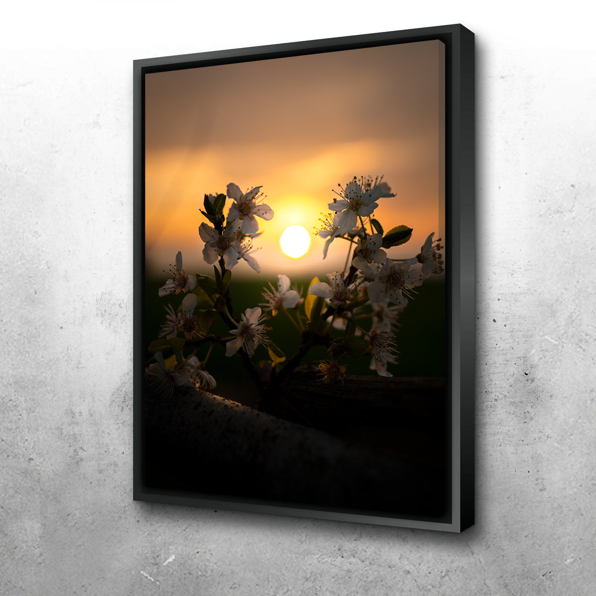 Floral Sunset