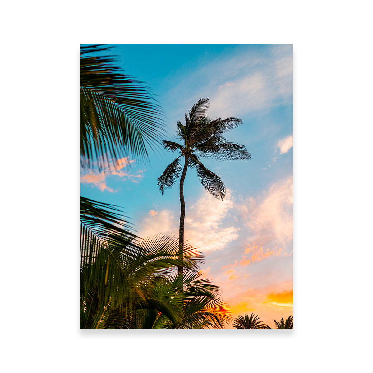 Sunset Palm Wall Art