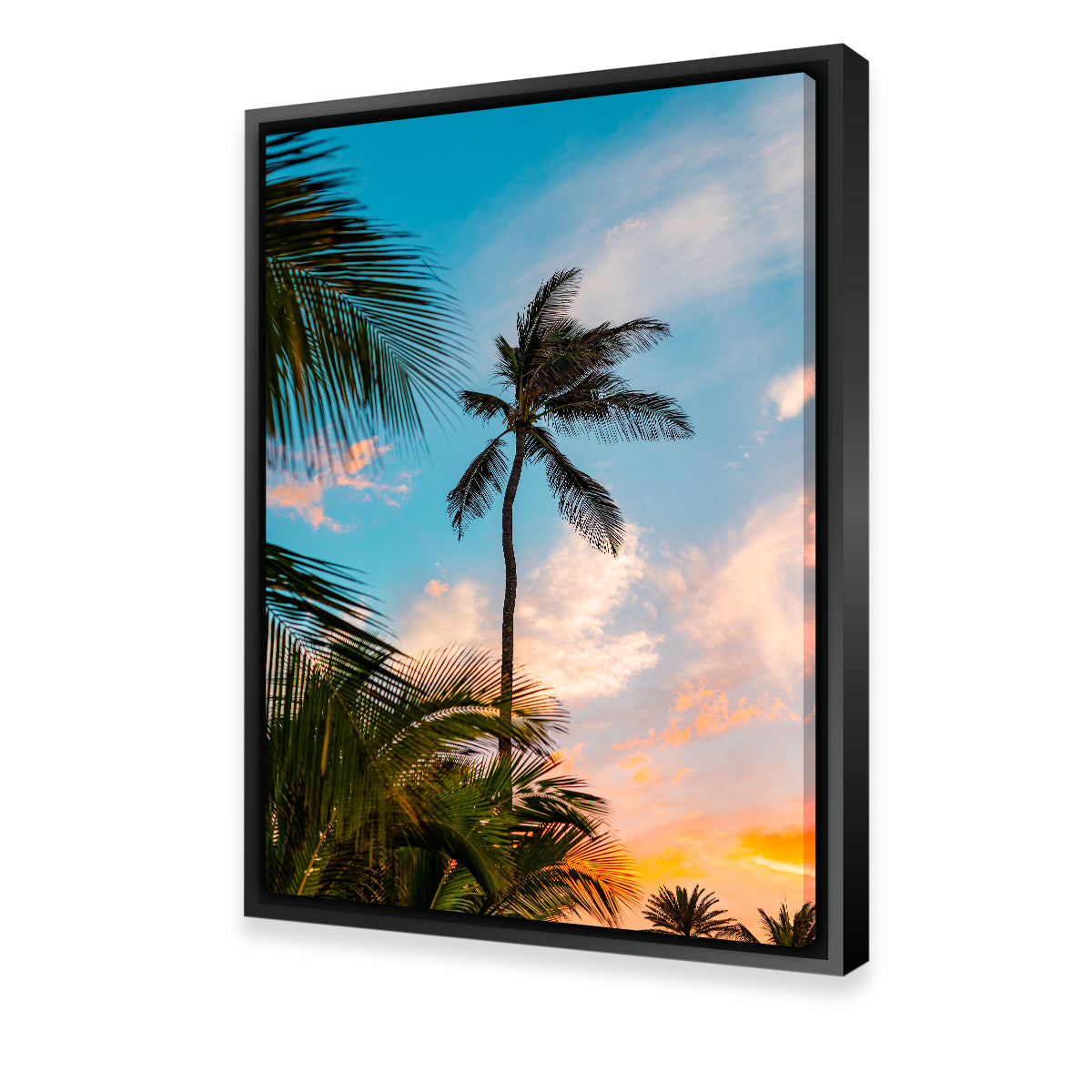 Sunset Palm Wall Art