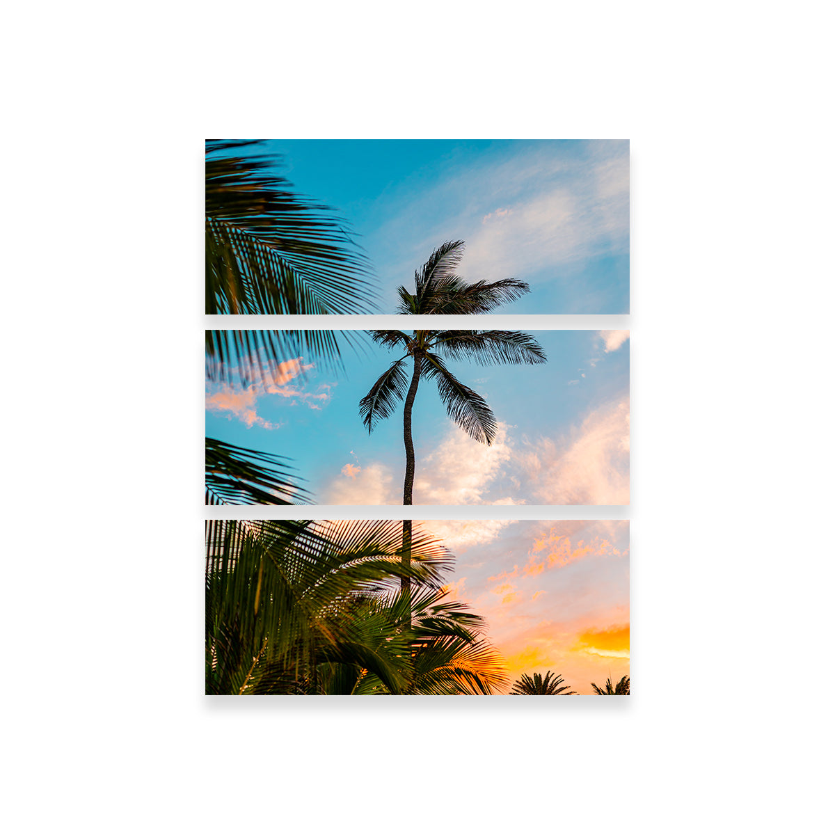 Sunset Palm Wall Art