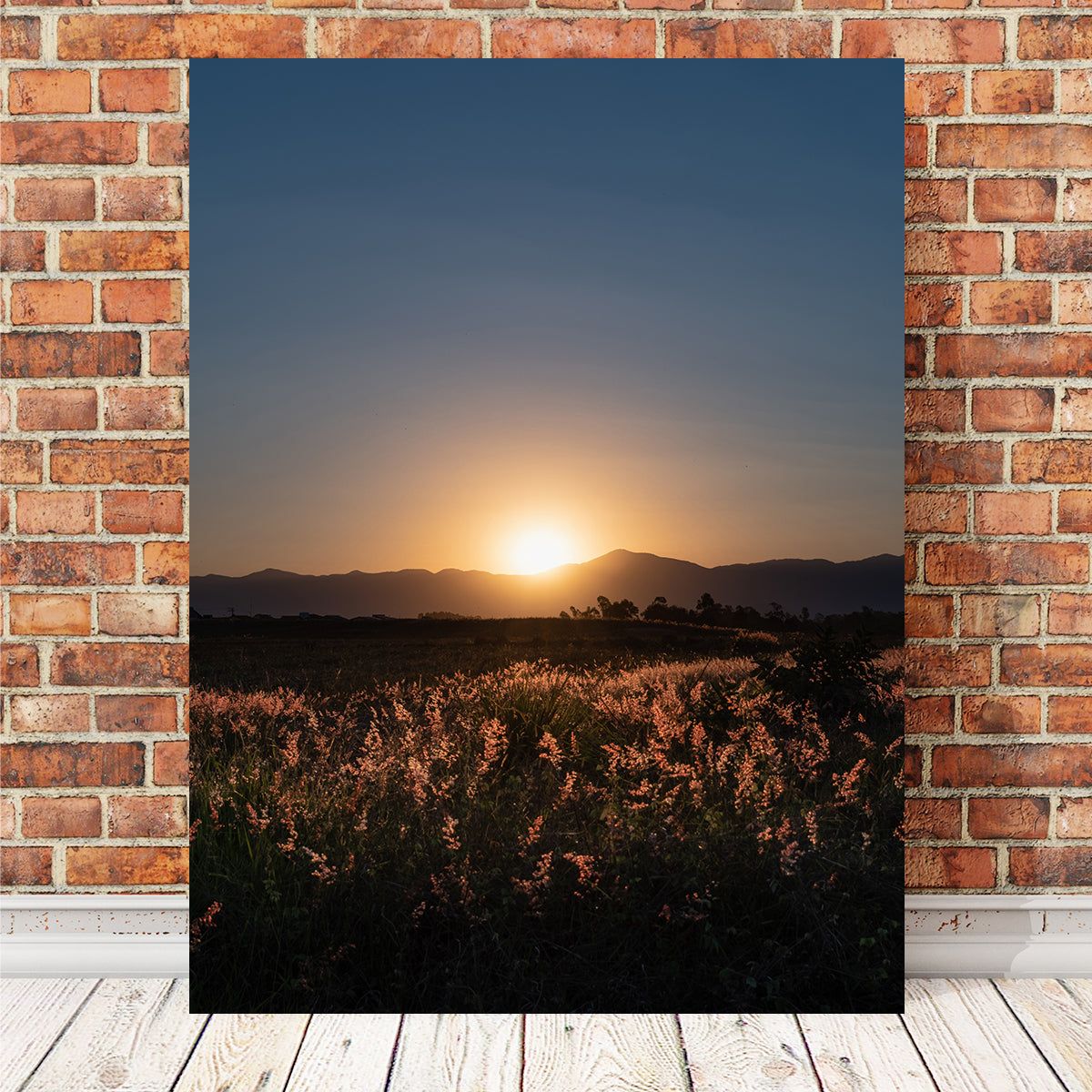 Sunset Over A Field of Flowers Wall Art