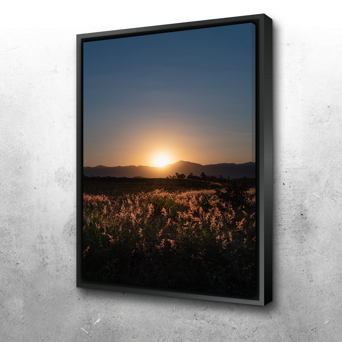 Sunset Over A Field of Flowers Wall Art