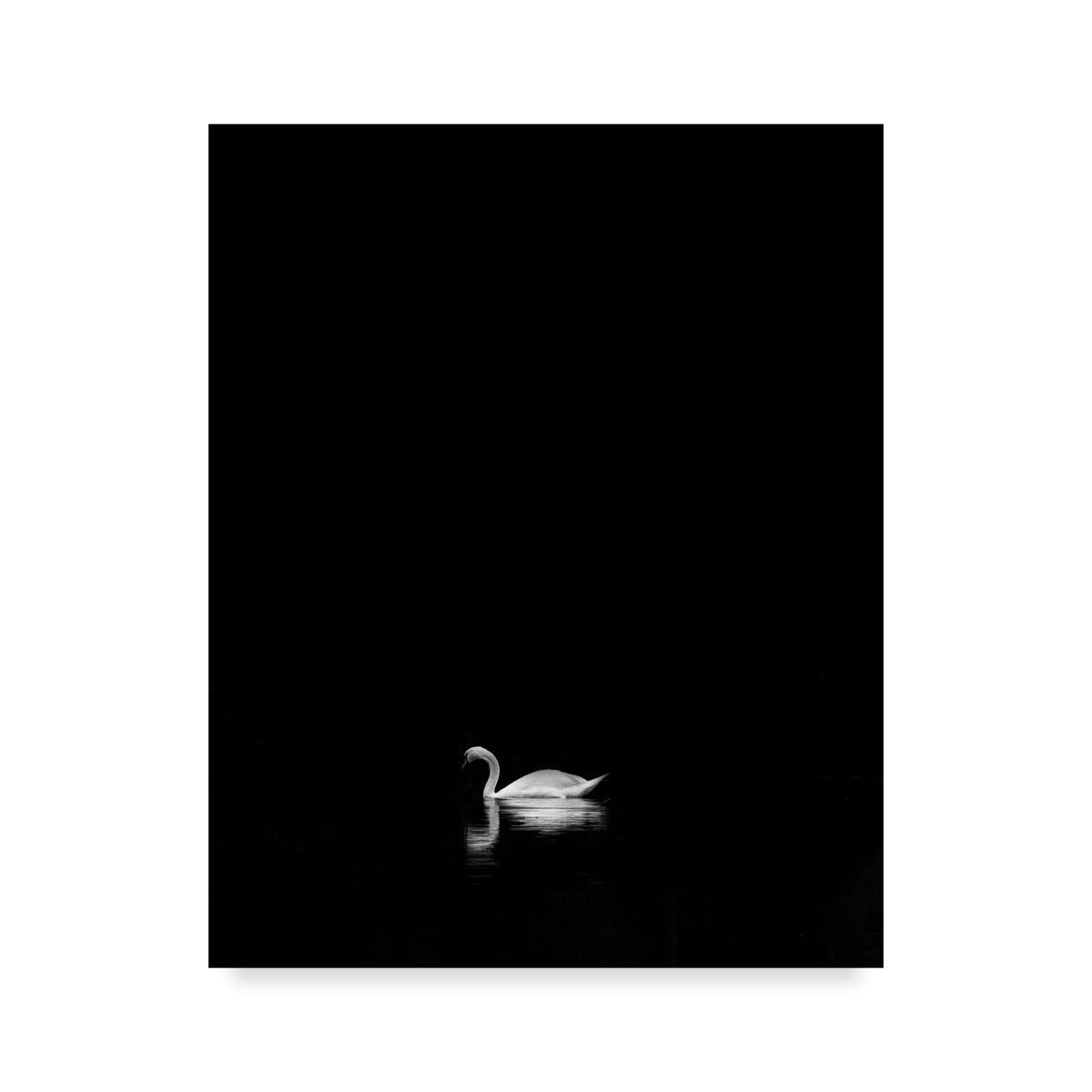 Swan Lake 1