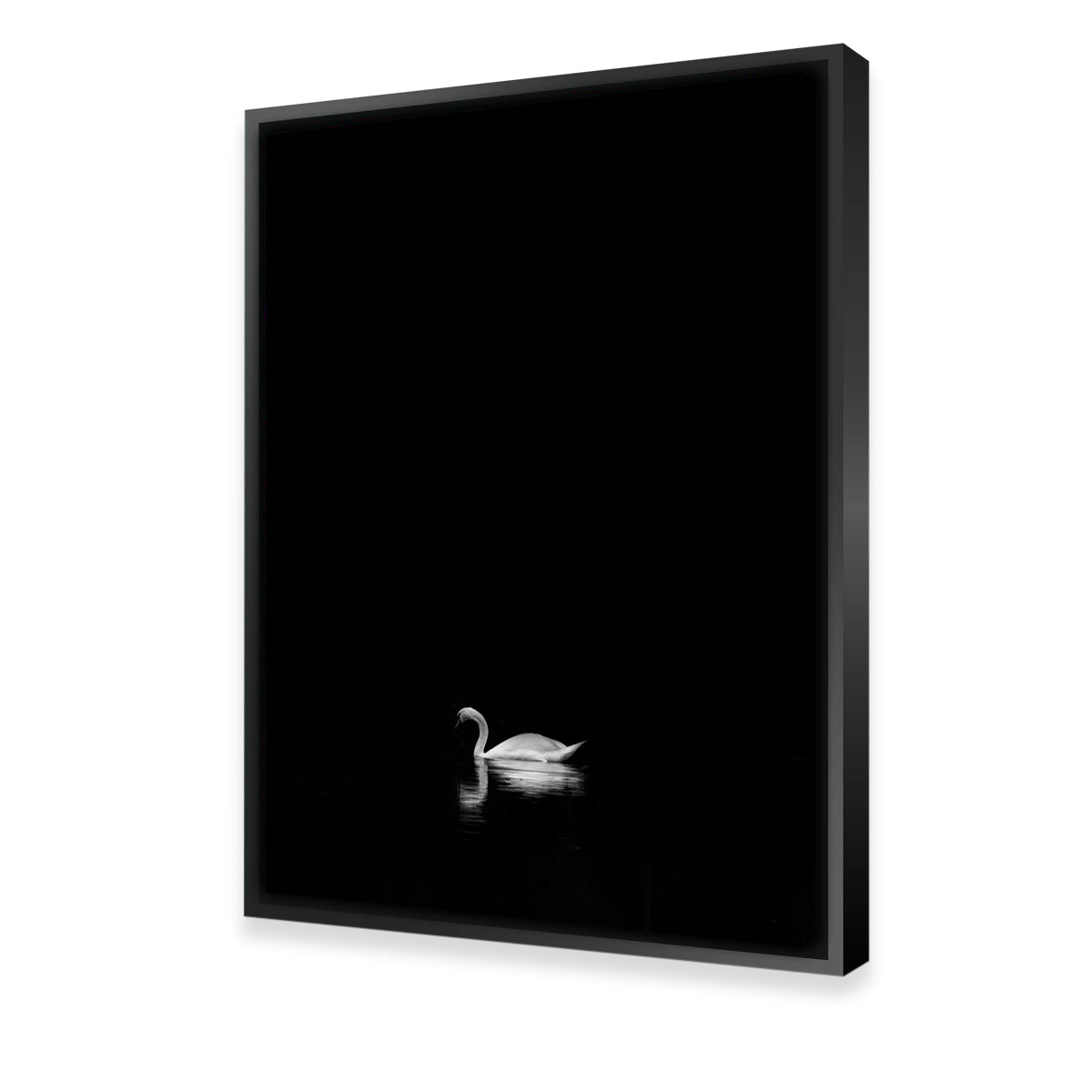 Swan Lake 1