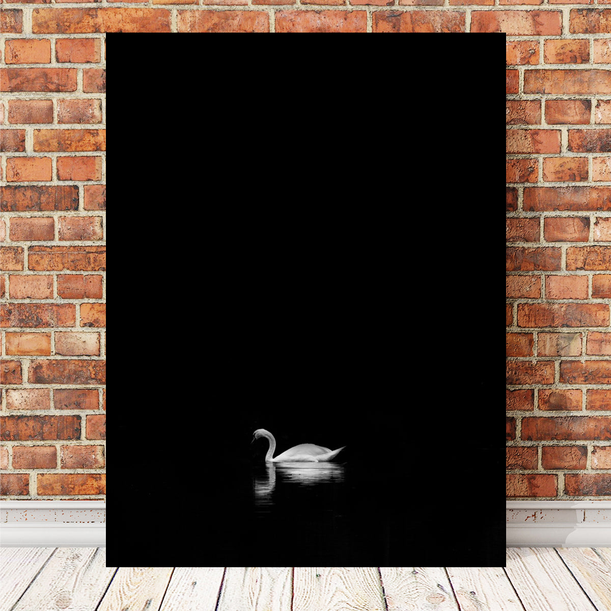 Swan Lake 1