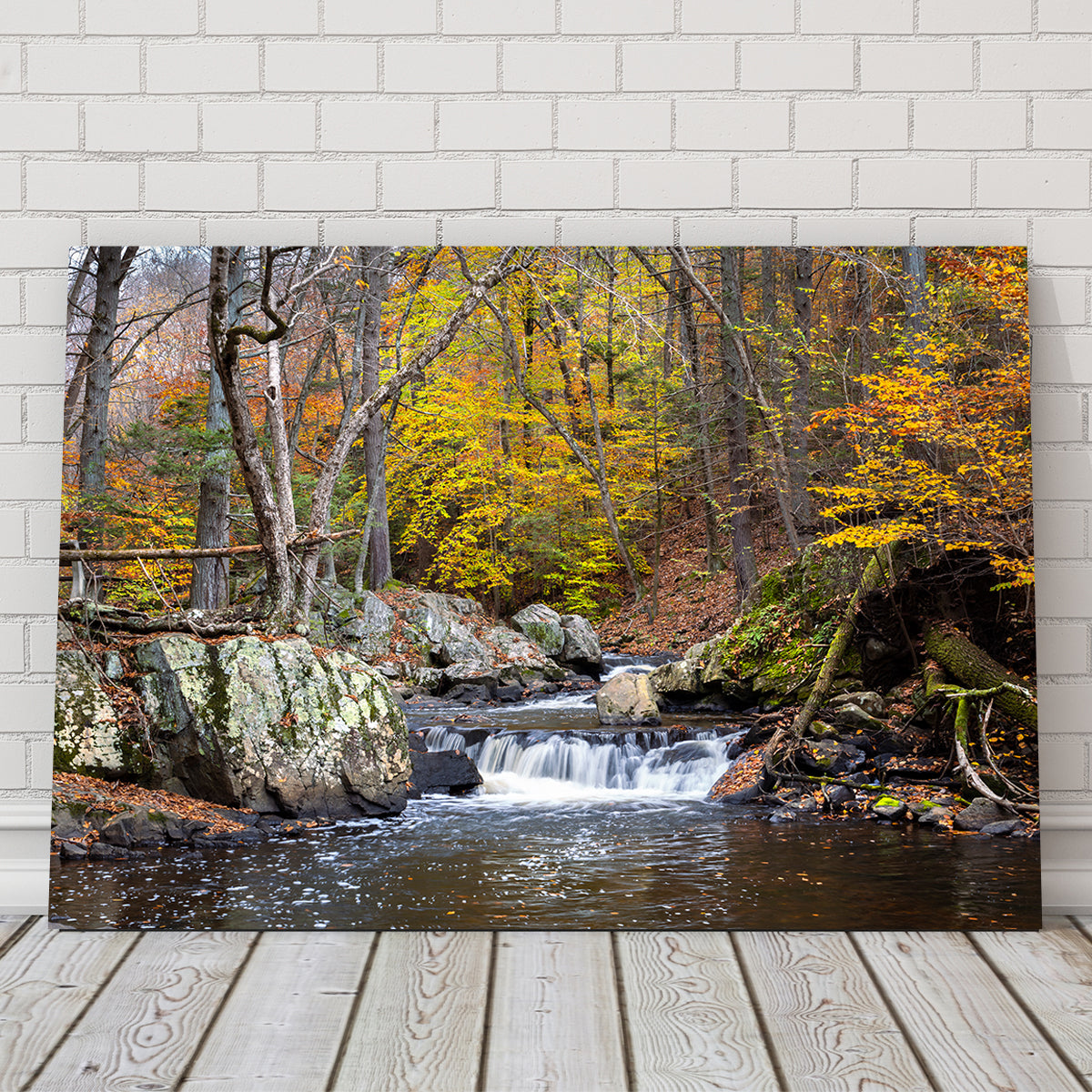 Take a Seat Wall Art