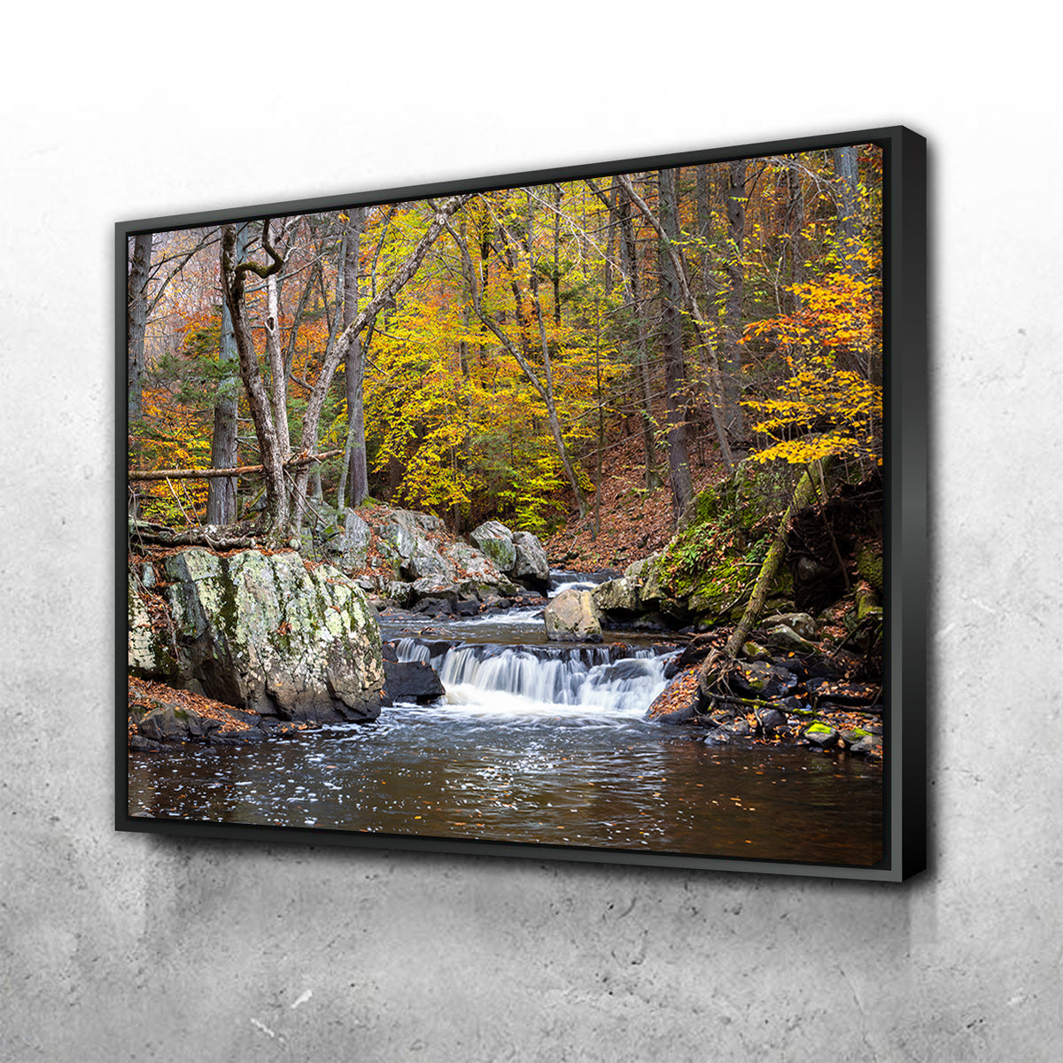 Take a Seat Wall Art