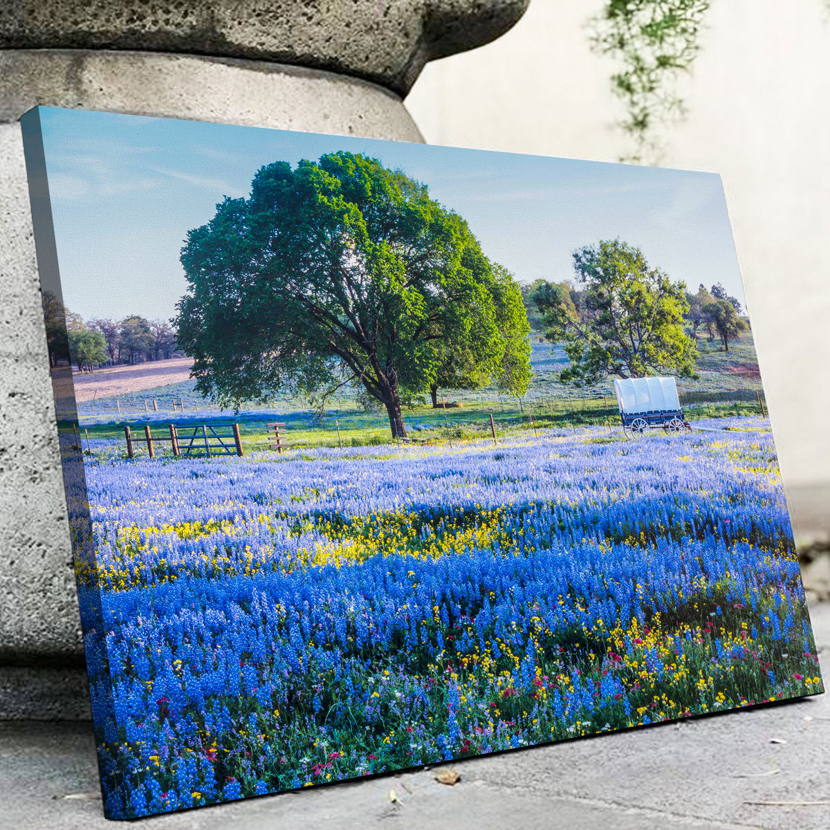Texas Hill Country in Spring Wall Art