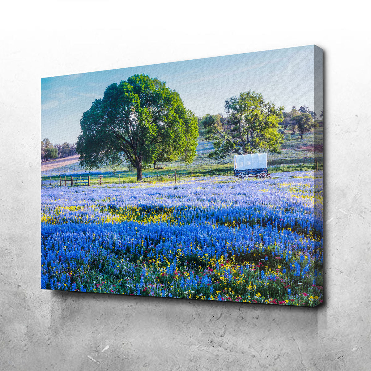 Texas Hill Country in Spring Wall Art