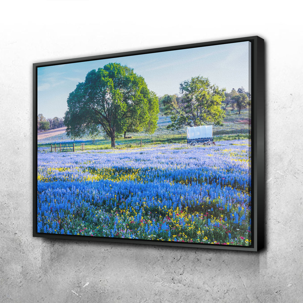 Texas Hill Country in Spring Wall Art