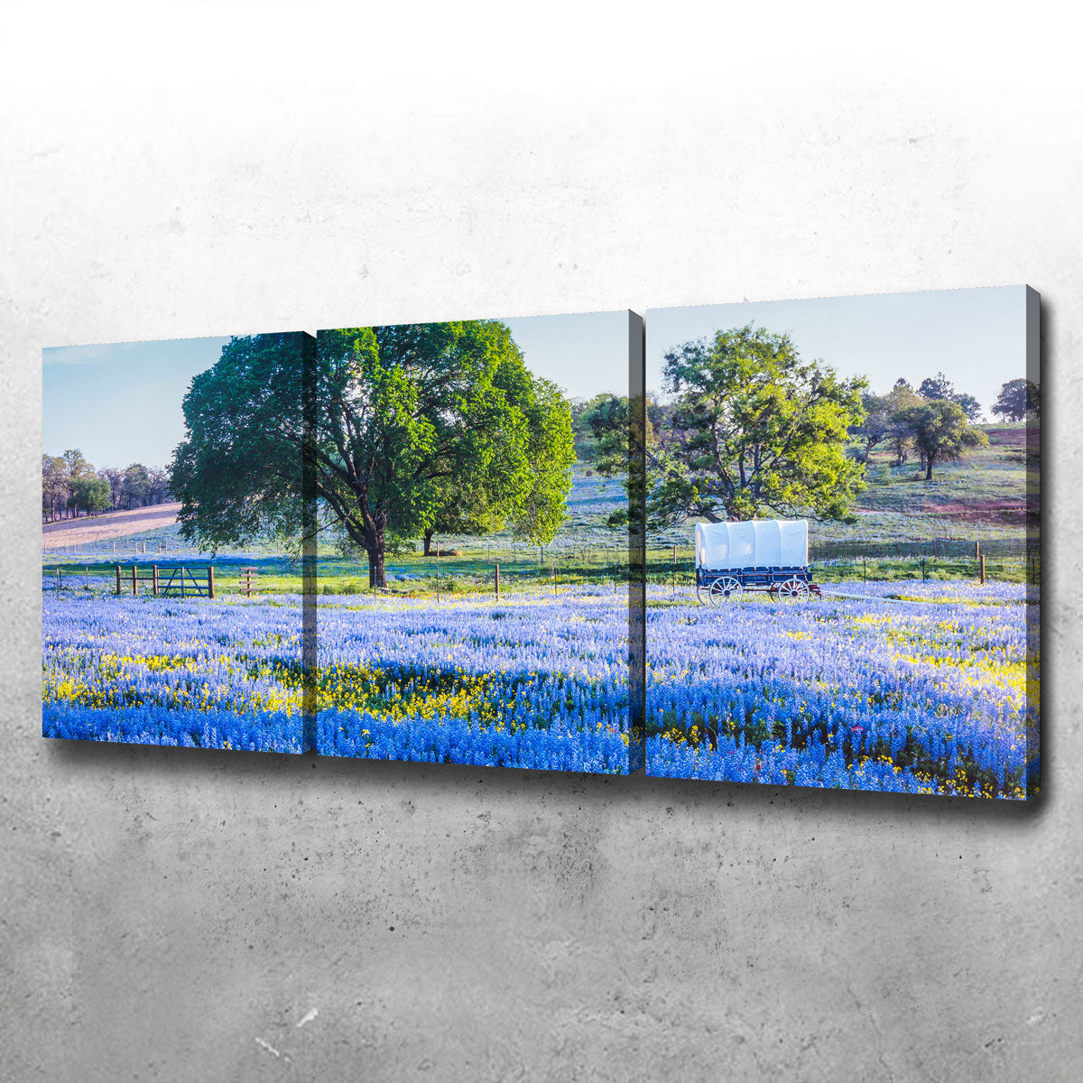 Texas Hill Country in Spring Wall Art