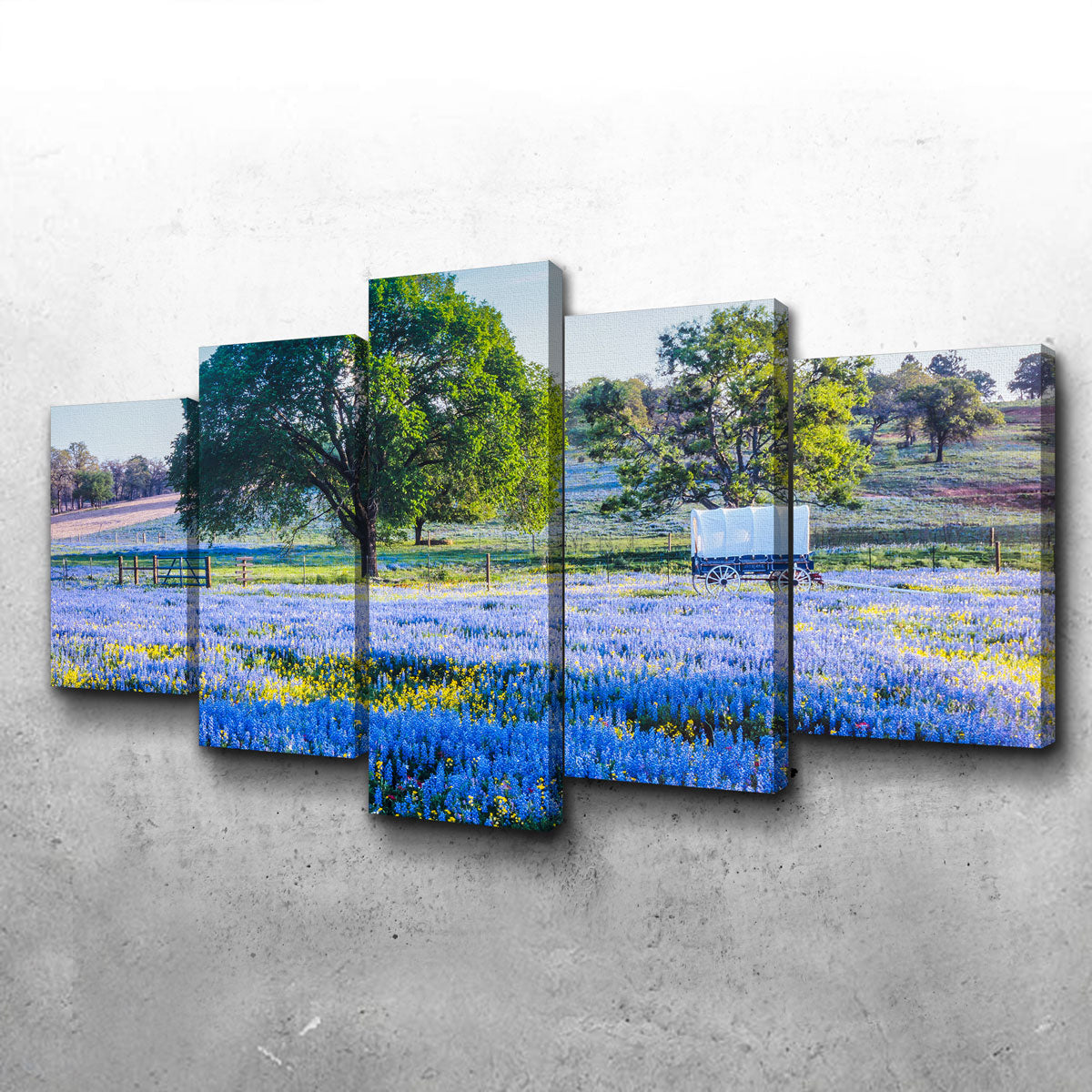 Texas Hill Country in Spring Wall Art