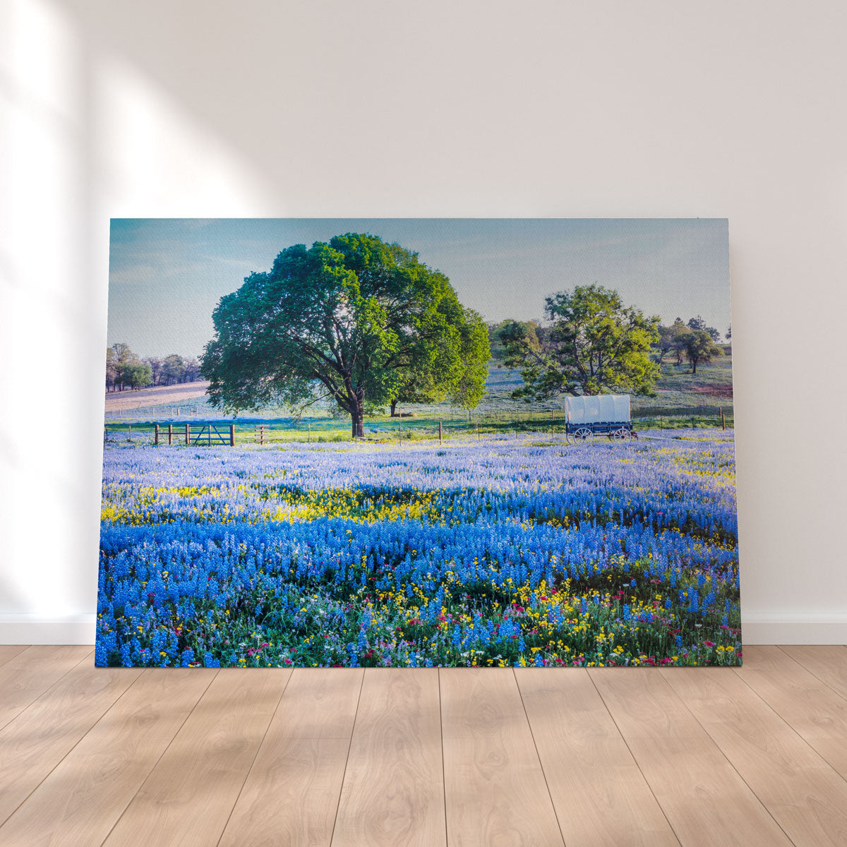 Texas Hill Country in Spring Wall Art
