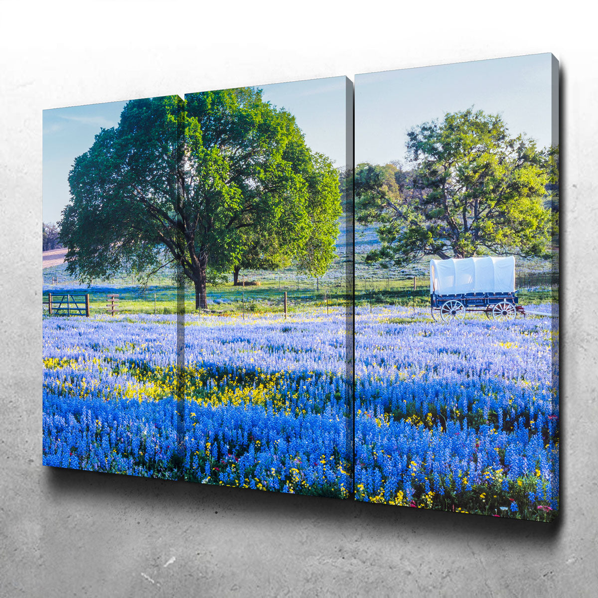Texas Hill Country in Spring Wall Art