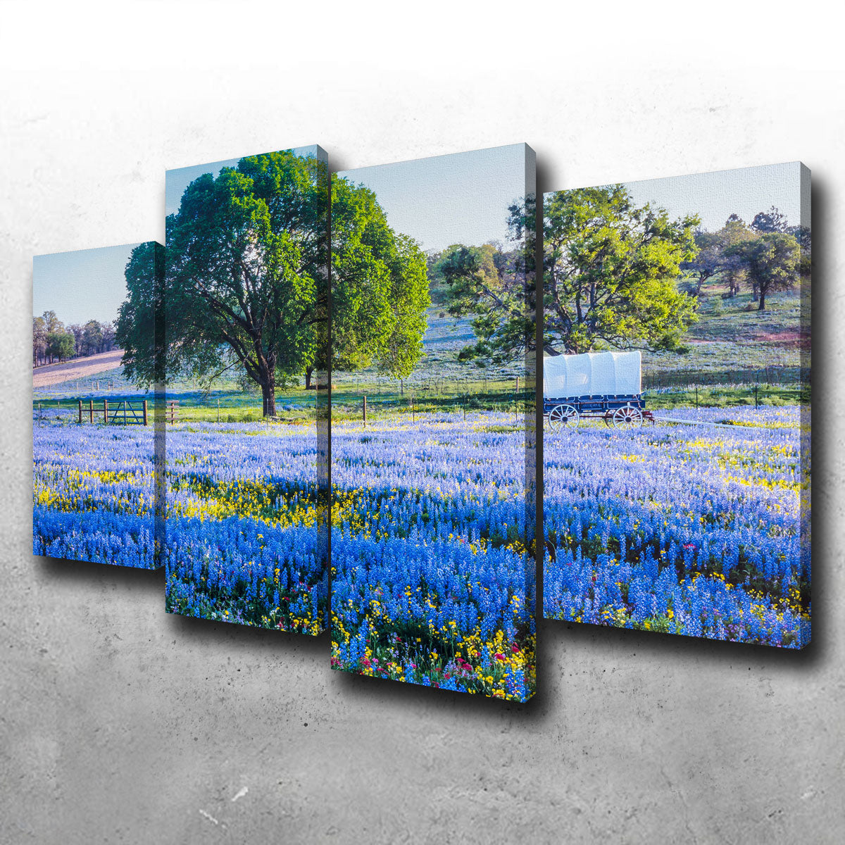 Texas Hill Country in Spring Wall Art