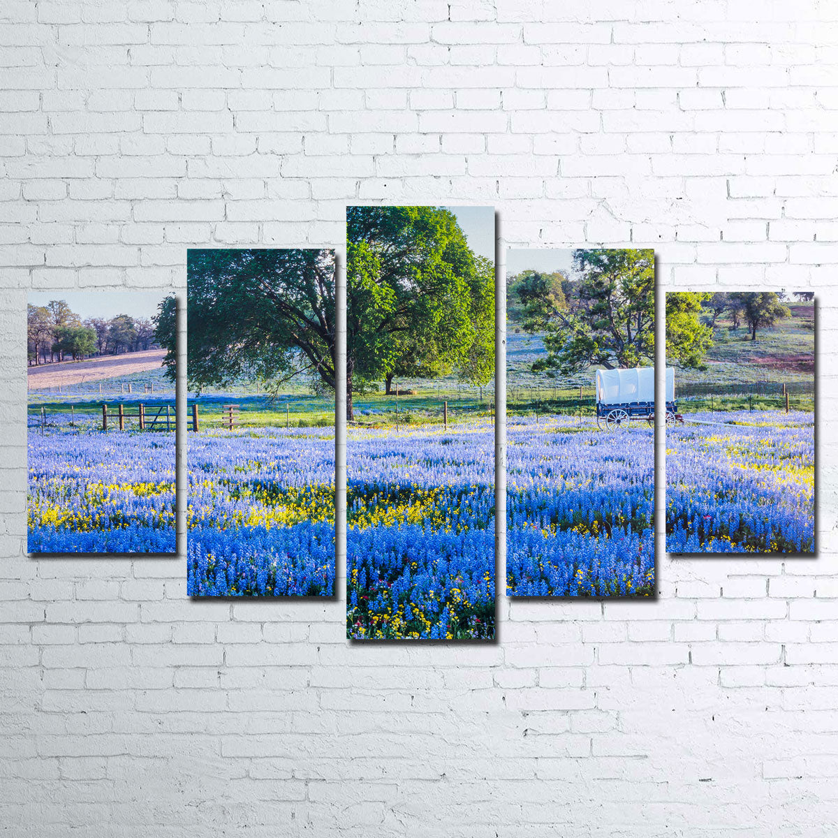 Texas Hill Country in Spring Wall Art