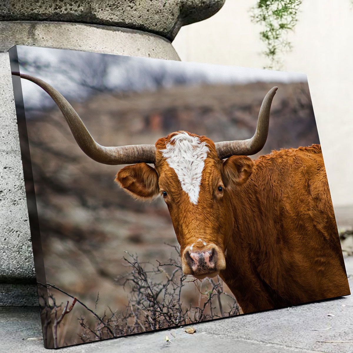Texas Longhorn Wall Art