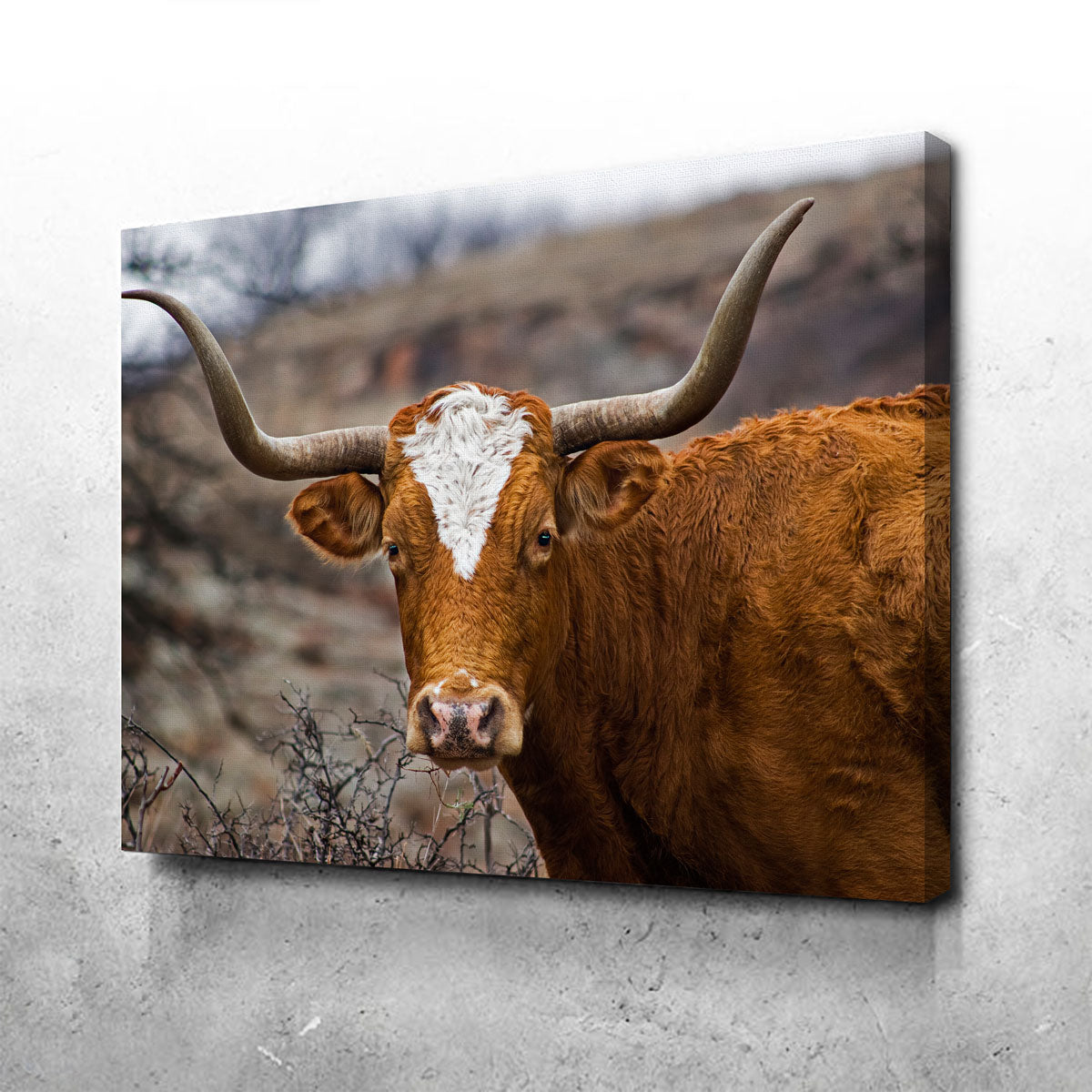 Texas Longhorn Wall Art