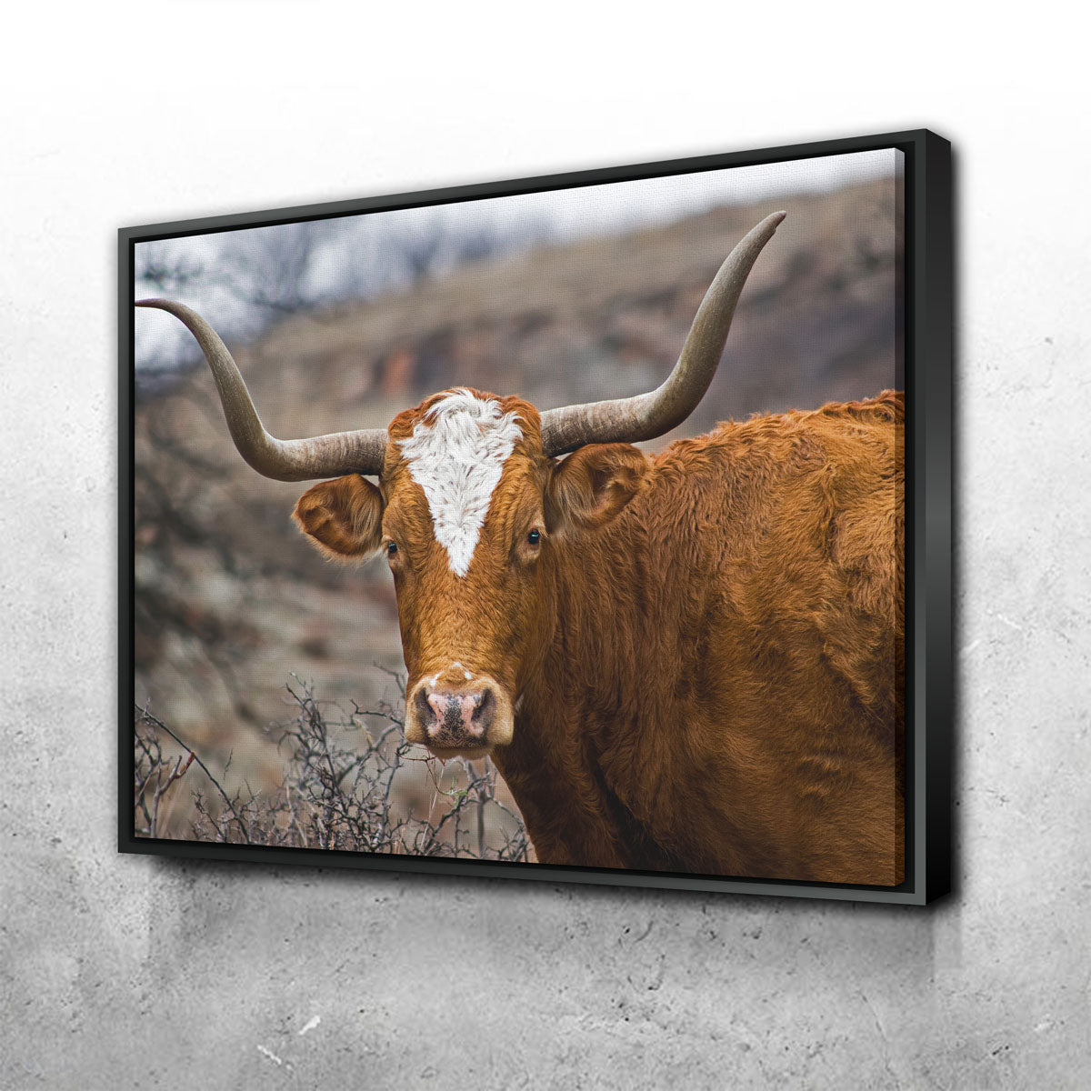 Texas Longhorn Wall Art