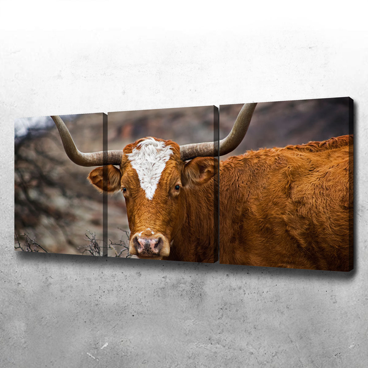 Texas Longhorn Wall Art