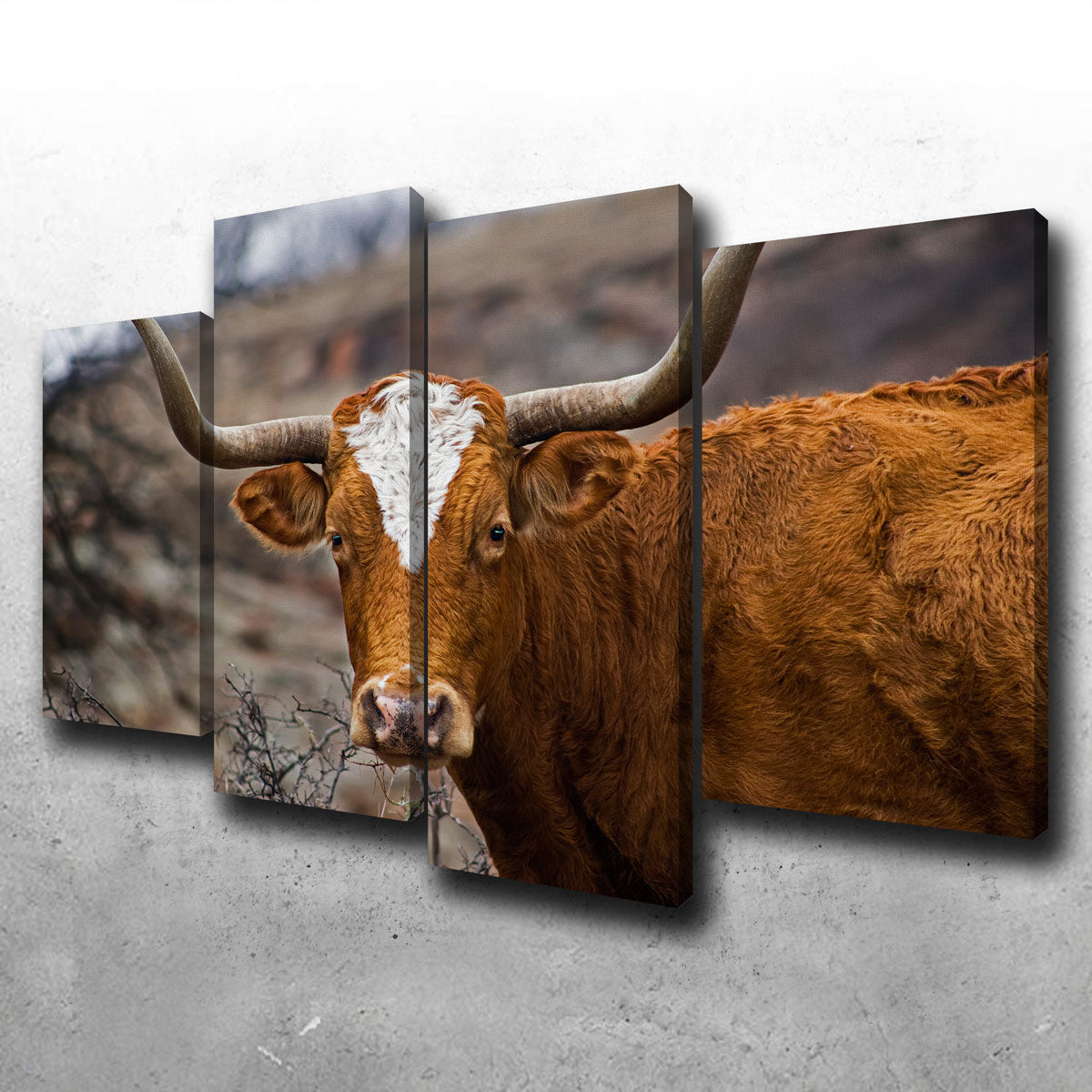 Texas Longhorn Wall Art