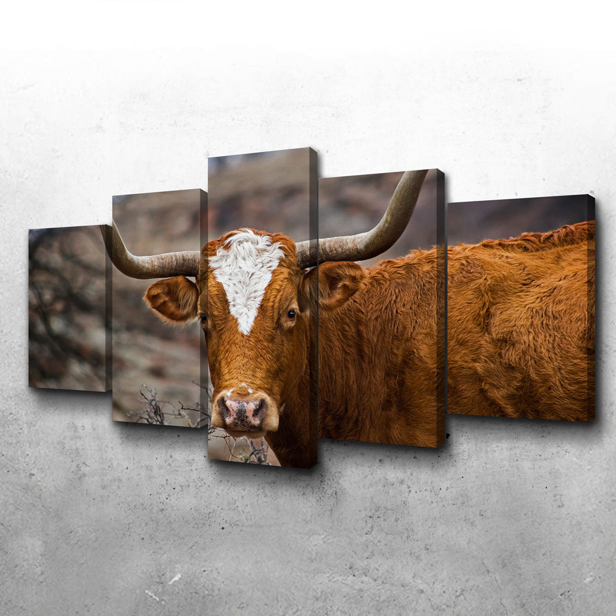 Texas Longhorn Wall Art