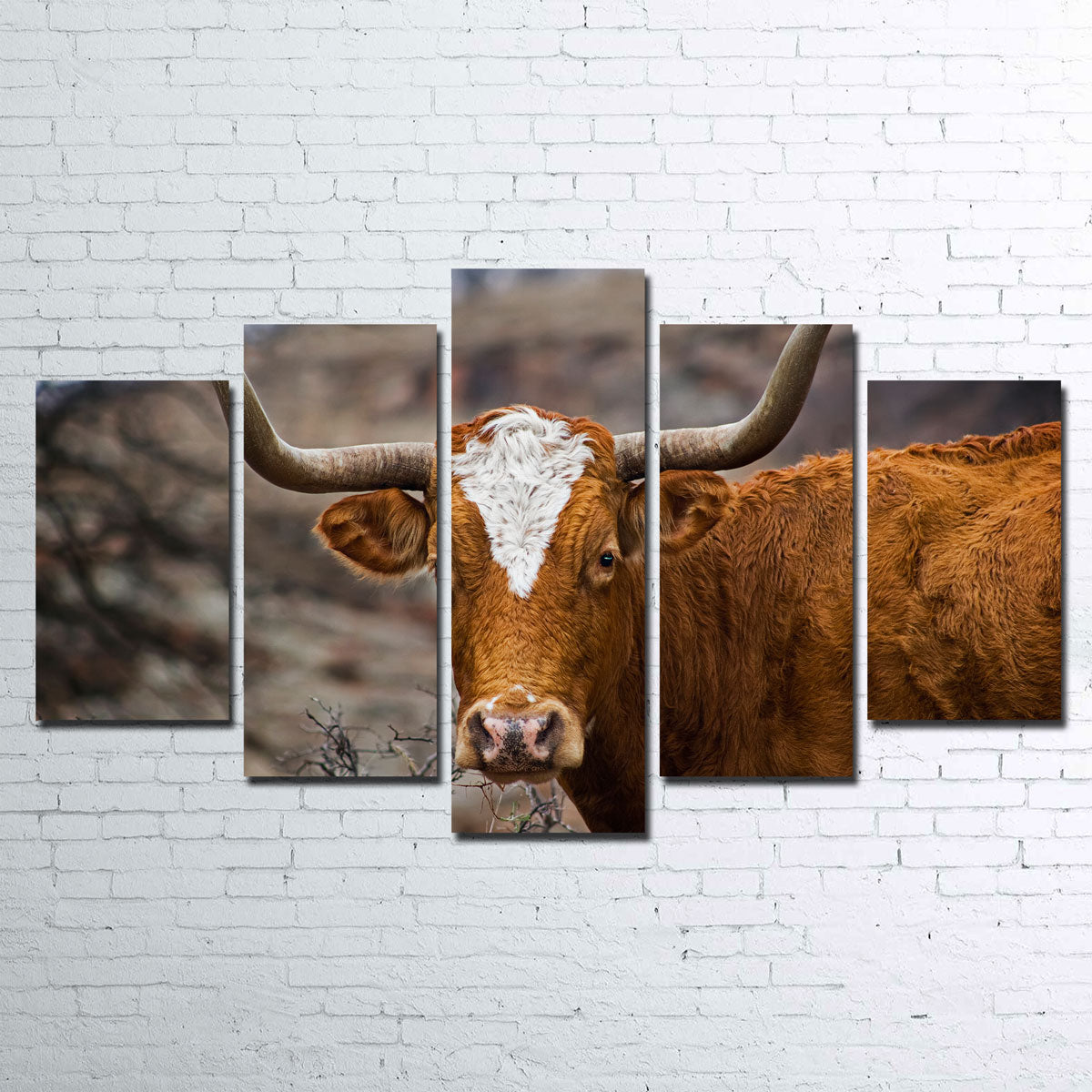 Texas Longhorn Wall Art