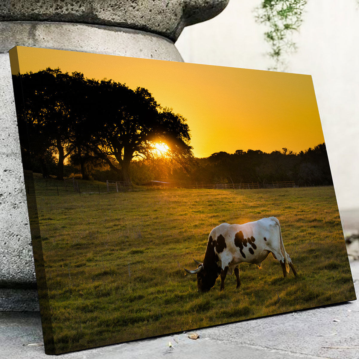 Texas Longhorn at Sunset Wall Art