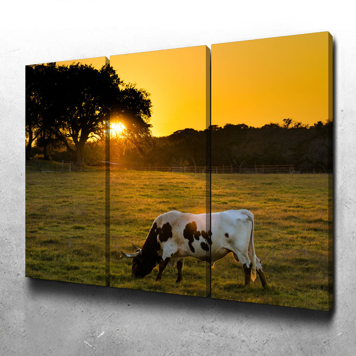 Texas Longhorn at Sunset Wall Art