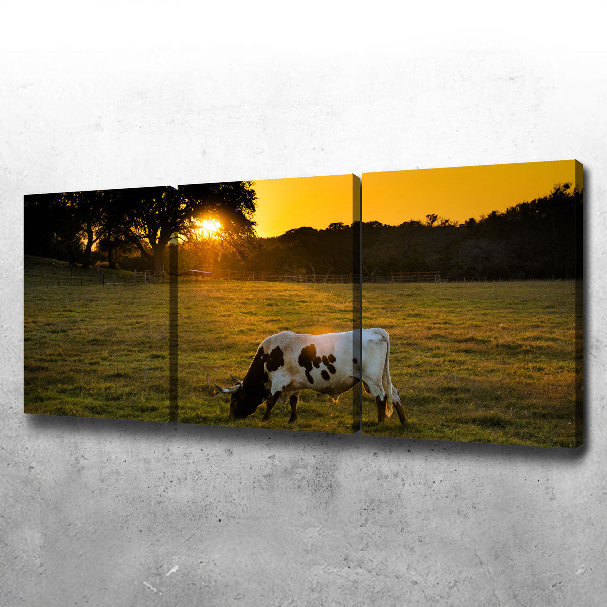 Texas Longhorn at Sunset Wall Art