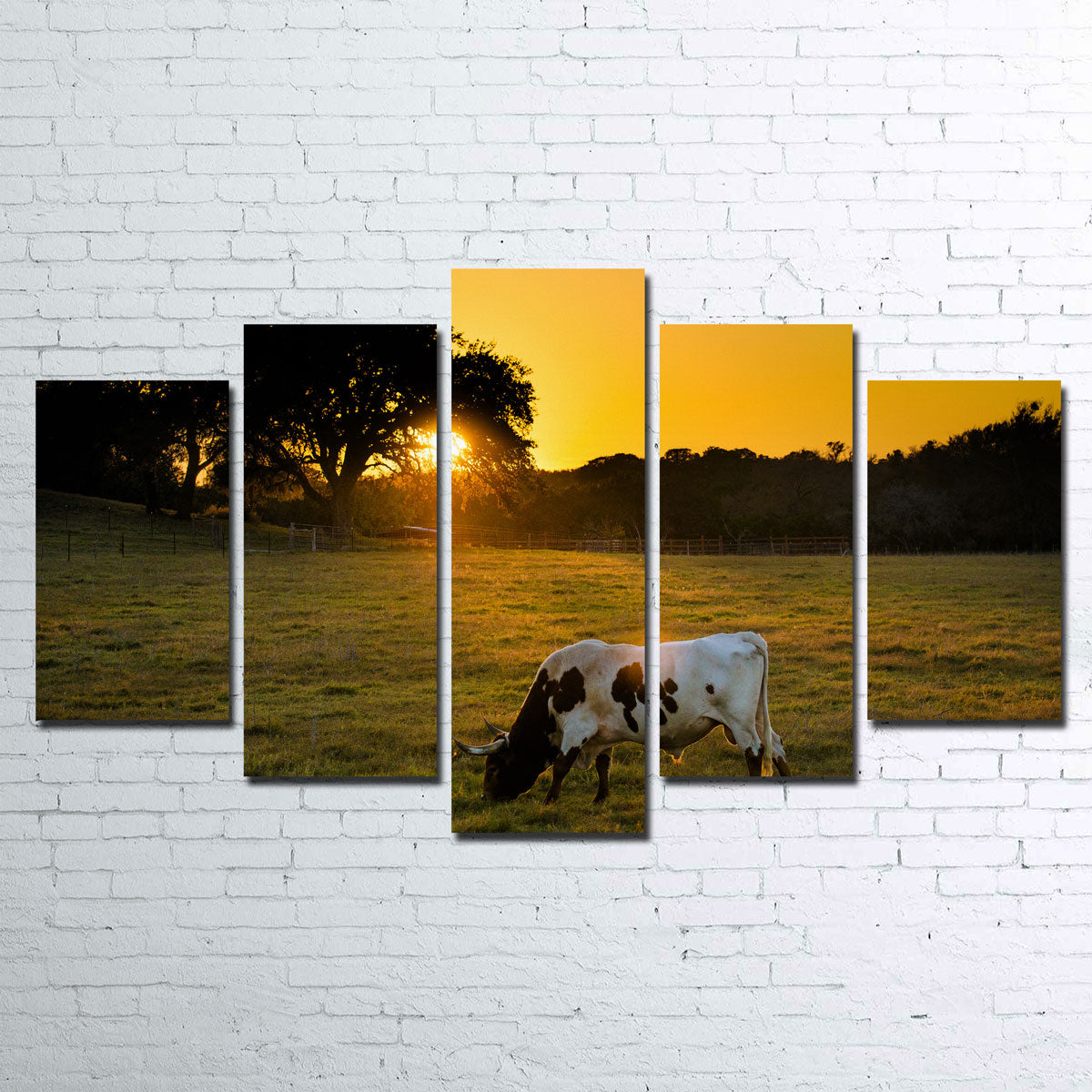 Texas Longhorn at Sunset Wall Art
