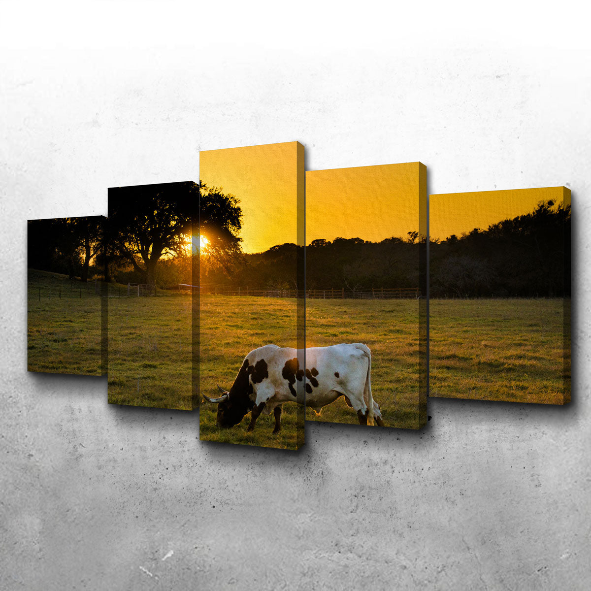 Texas Longhorn at Sunset Wall Art