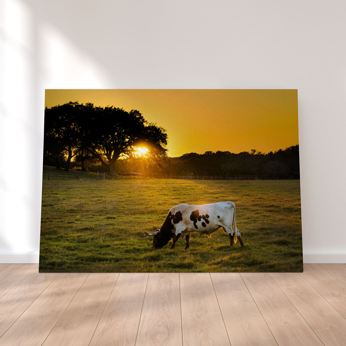 Texas Longhorn at Sunset Wall Art