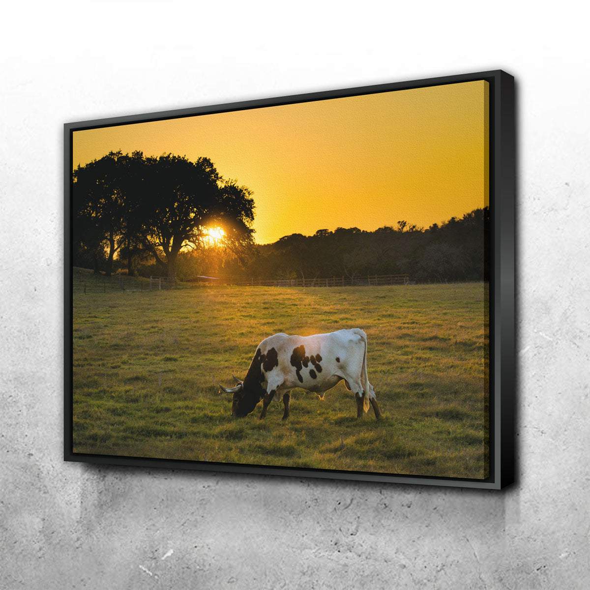 Texas Longhorn at Sunset Wall Art