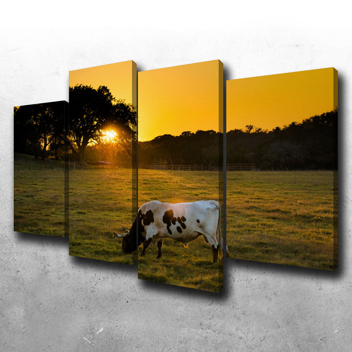 Texas Longhorn at Sunset Wall Art
