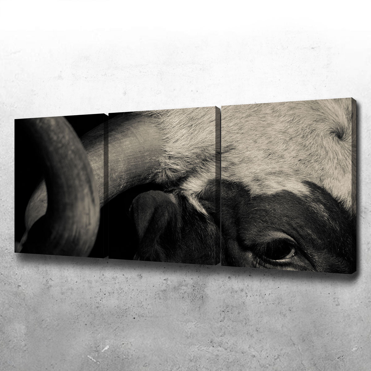 Texas Longhorn Cow Wall Art