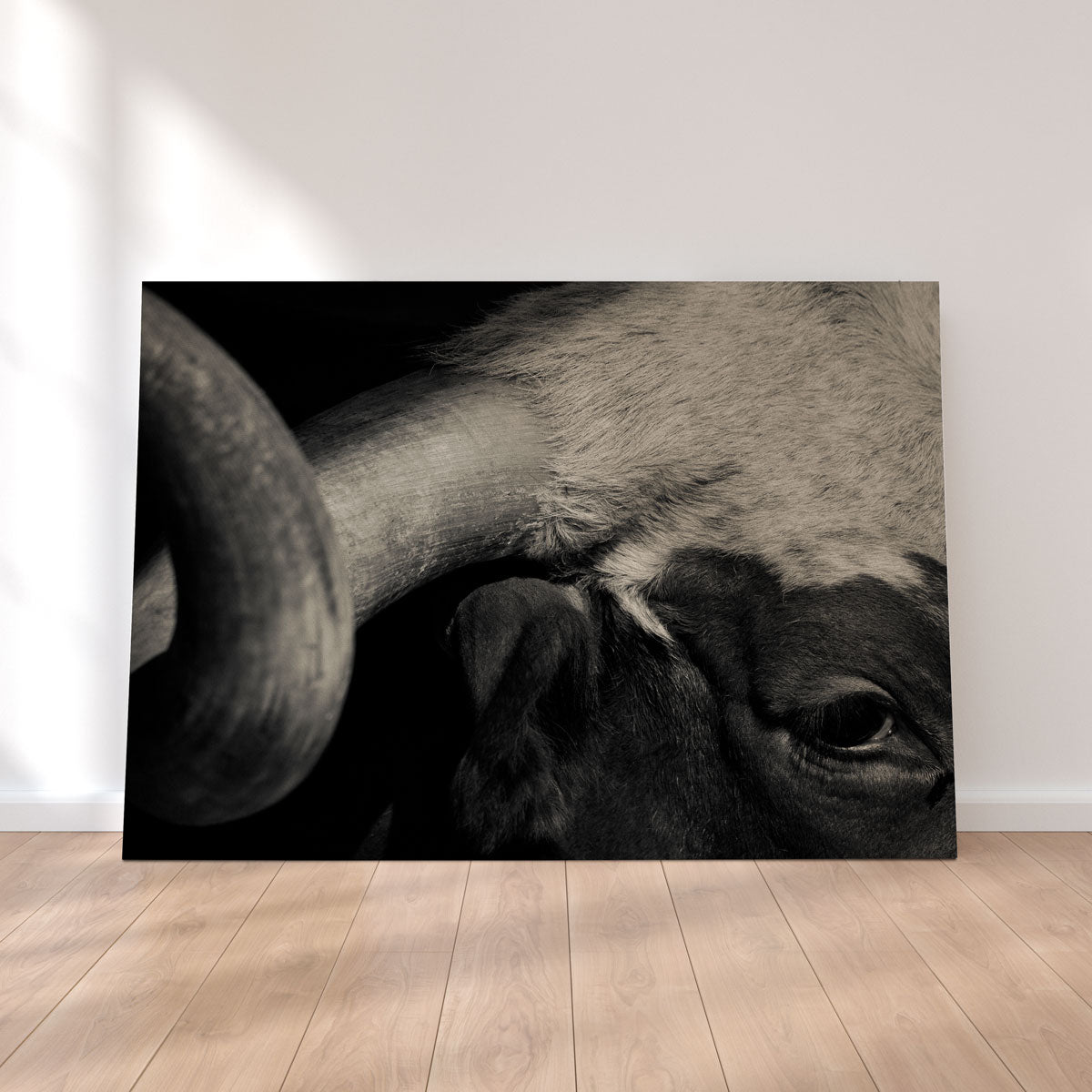 Texas Longhorn Cow Wall Art