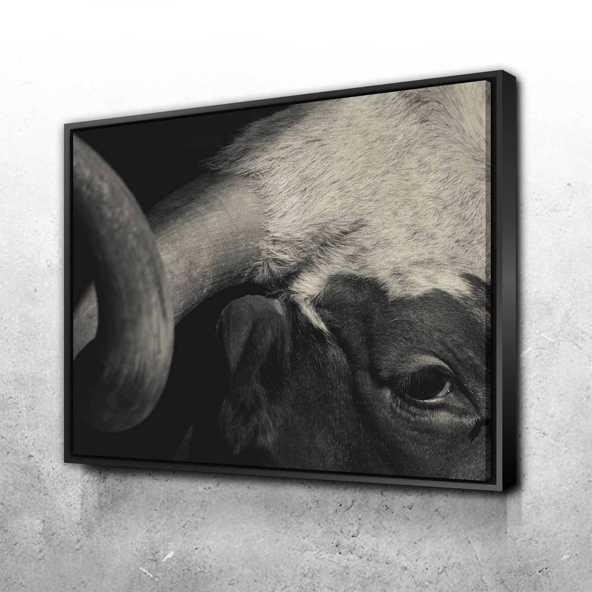 Texas Longhorn Cow Wall Art
