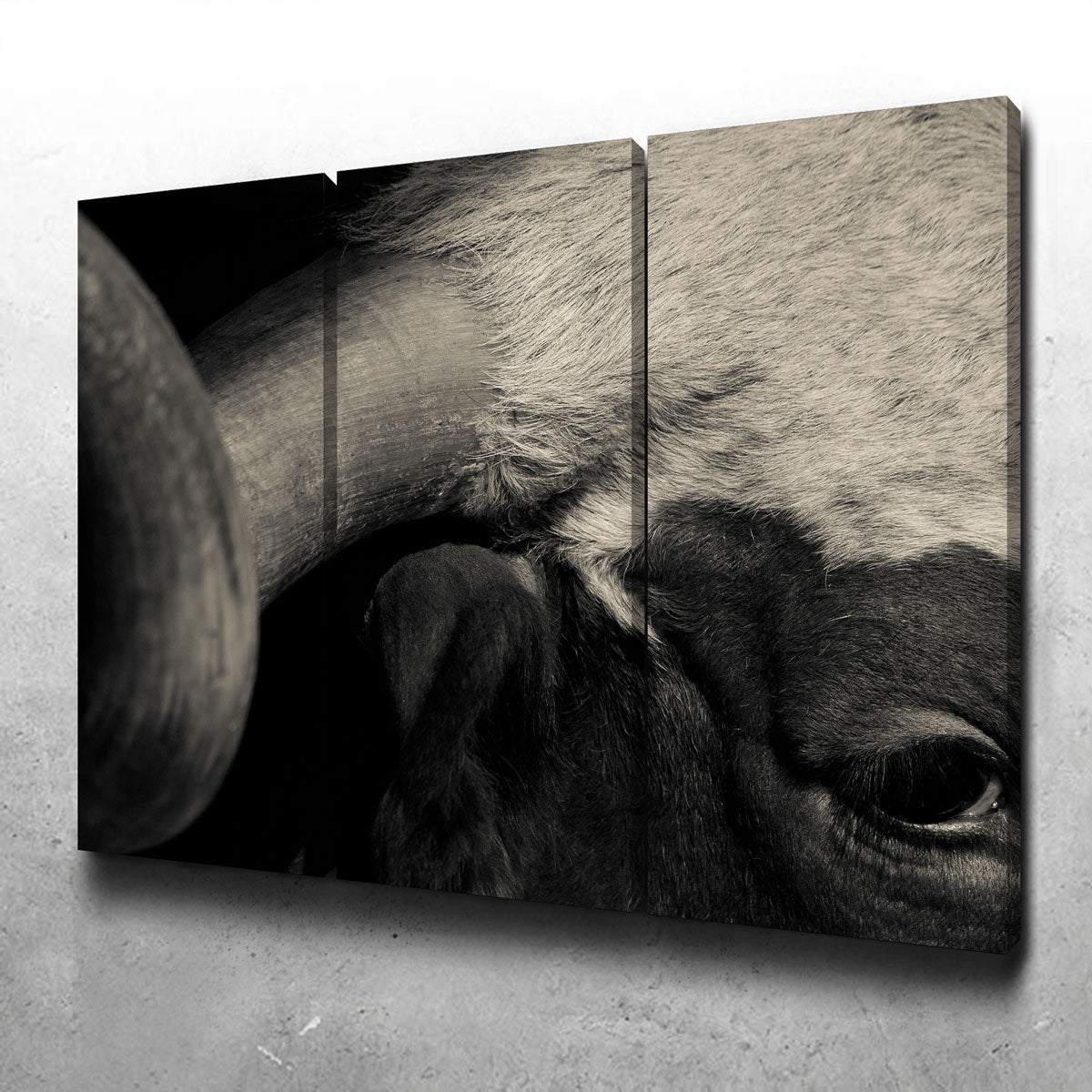 Texas Longhorn Cow Wall Art