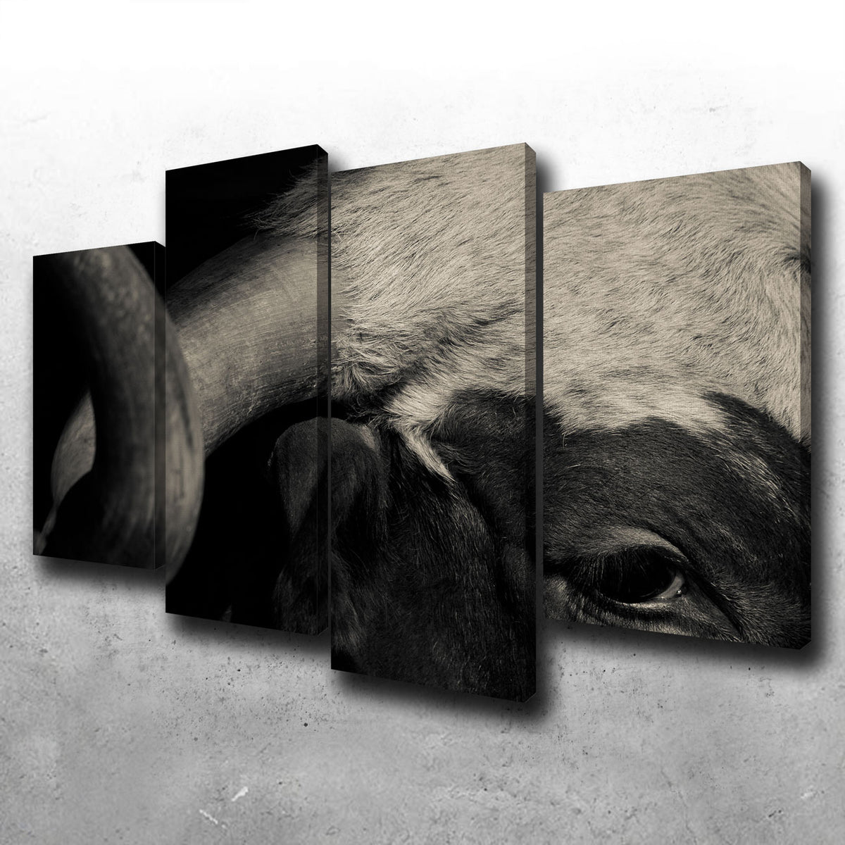 Texas Longhorn Cow Wall Art