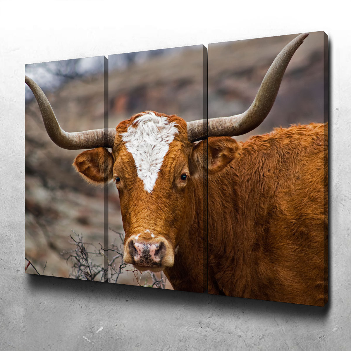 Texas Longhorn Wall Art